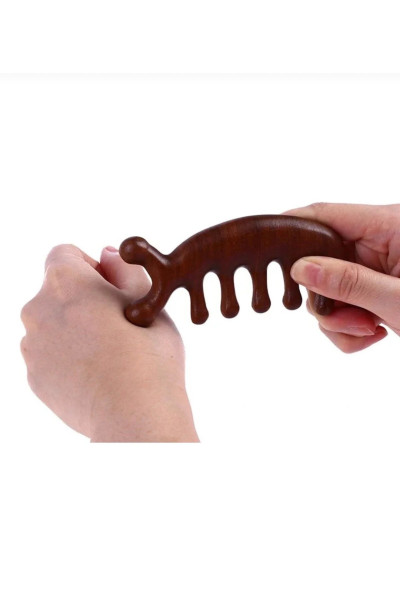 MERİDYEN BALIĞI SANDAL AĞACI MERİDYEN AKUPRESÜR...